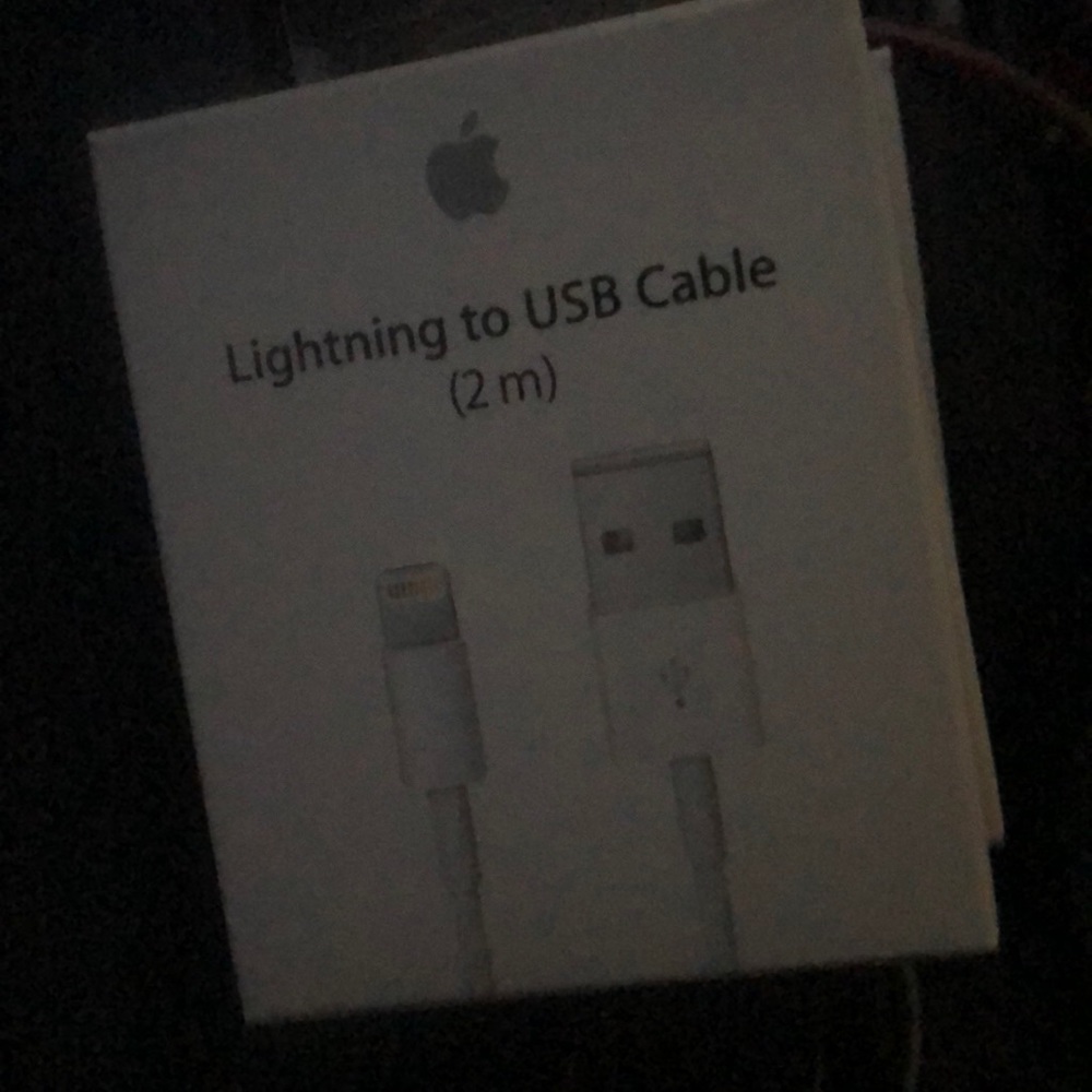 Apple charger (2m)